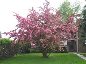 I have sold a property at 207 LAKE WOOD Place SE in Calgary